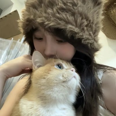如果历史是一群喵第一季