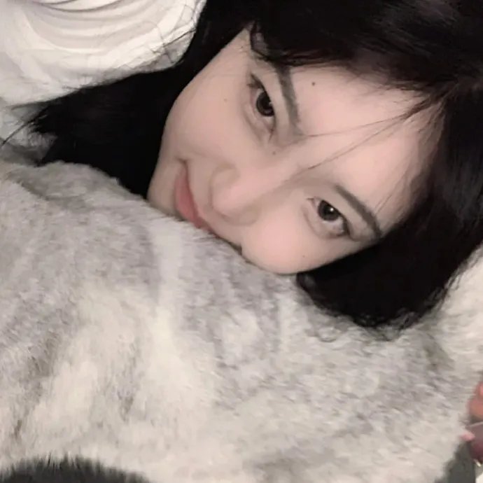 在蓝色时分飞翔